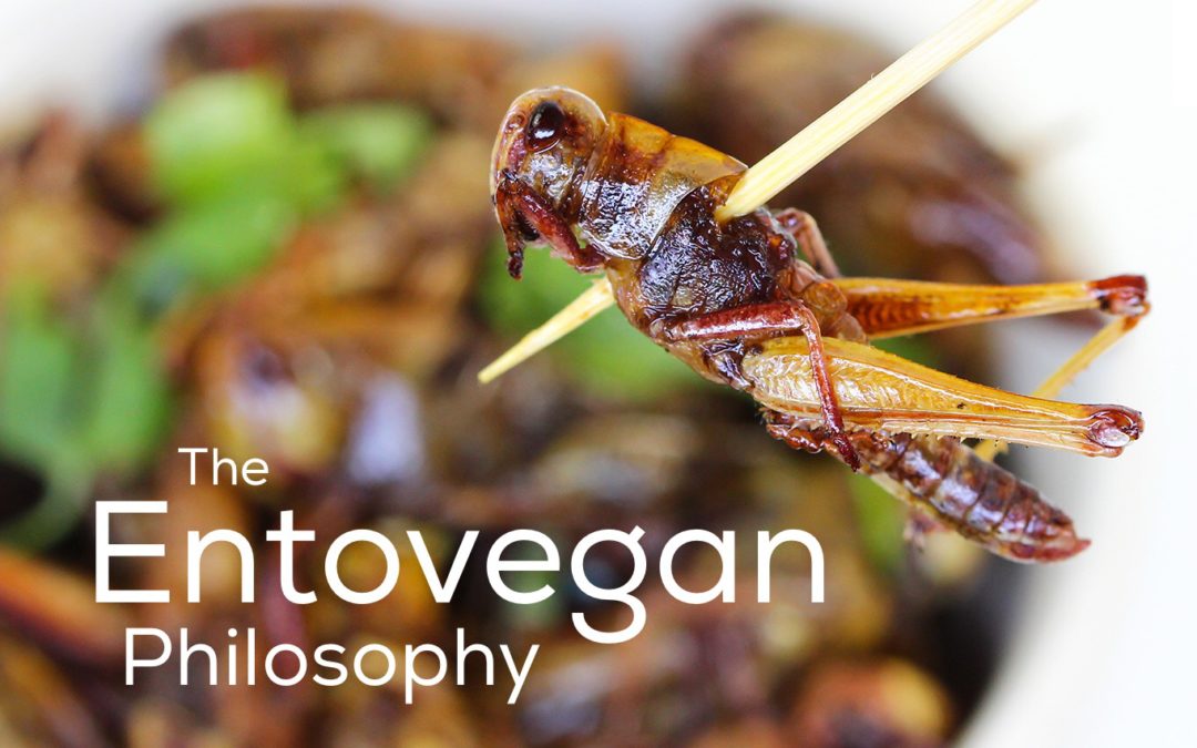 The ethics and philosophical foundation of Entoveganism