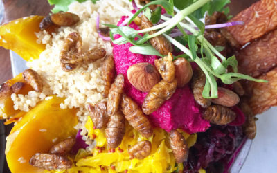 VIDEO – adding silkworms to a vegan salad bowl boosts your intake of important minerals