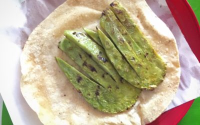 5 surprising health benefits of eating Nopal cactus
