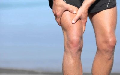 Feeling the positive effects of exercise, rest, and the entovegan diet – but will it last?