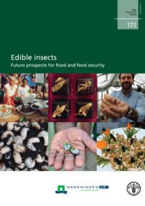 UN FAO edible insects report food feed cover