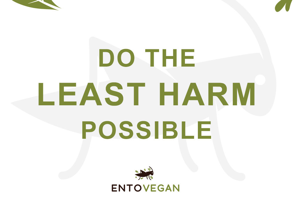 Do the least harm possible - entovegan the evolution of veganism is boosted by edible insects