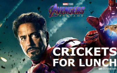 Eating Crickets in Avengers Endgame – Tony Stark’s Daughter and Edible Insects for Lunch