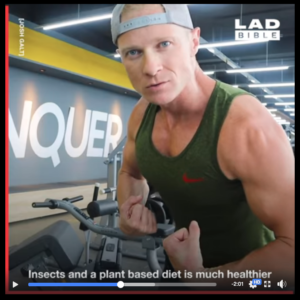 Josh Galt Entovegan LADBible