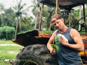 Josh Galt Entovegan Cambodia farm bunny rabbit