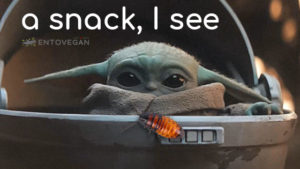baby yoda a snack I see cockroach entovegan