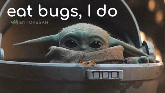 baby yoda eat bugs I do entovegan