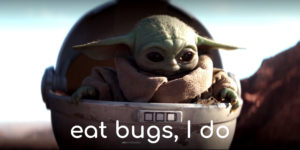 baby yoda eat bugs I do entovegan
