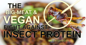 big meat vegan fight against insect protein entovegan
