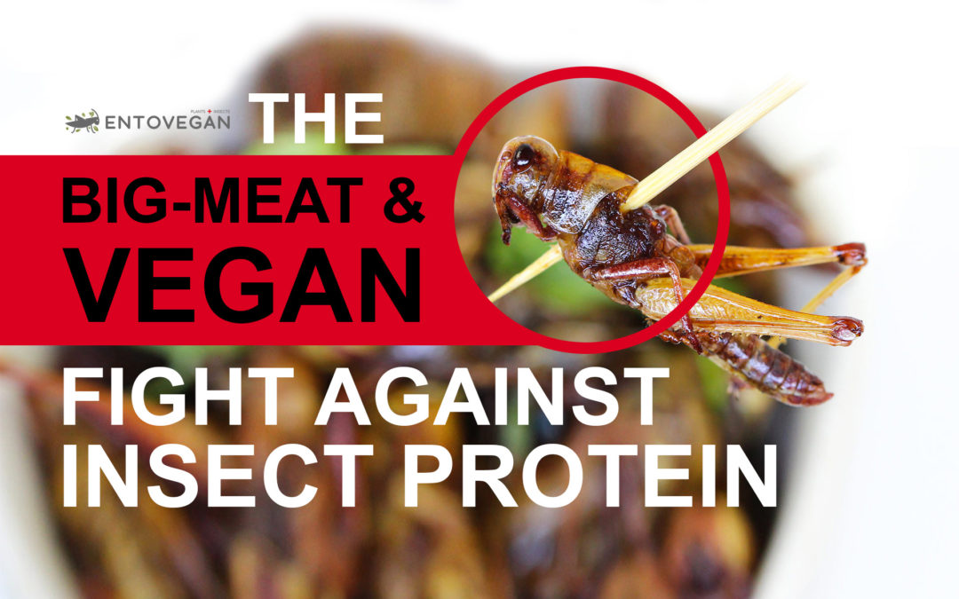 big meat vegan fight against insect protein entovegan