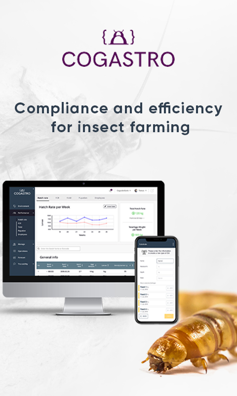 Cogastro compliance and efficiency for insect farming