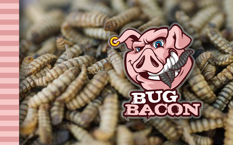 Bug Bacon black soldier fly larvae BSFL high protein entovegan bacon snack