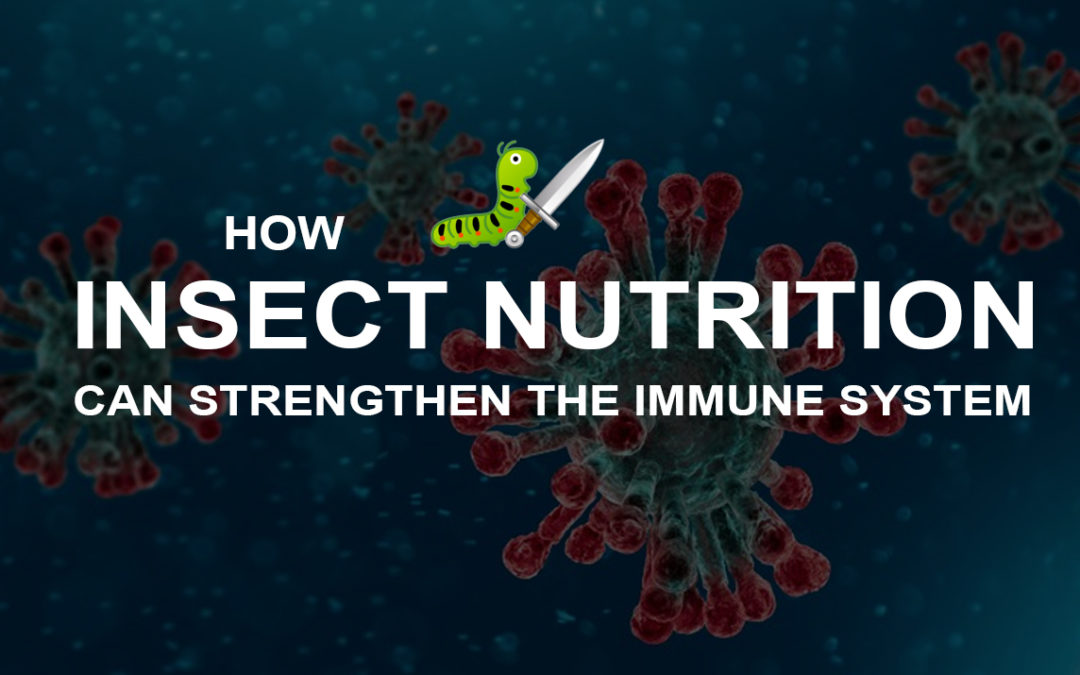 insect nutrition for a strong immune system